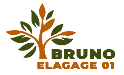 elagueur-bruno-elagage